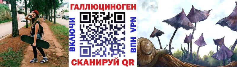 Псилоцибиновые грибы Psilocybine cubensis  Купить закладки  Биробиджан 